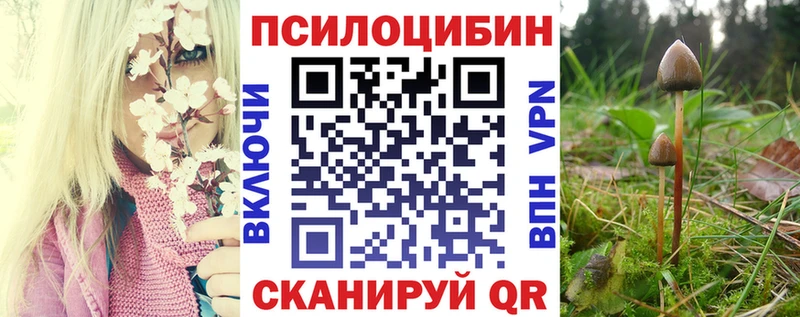 Псилоцибиновые грибы мухоморы  Тогучин 