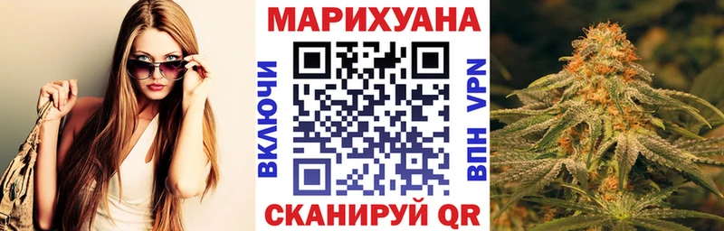 что такое Тогучин Конопля семена